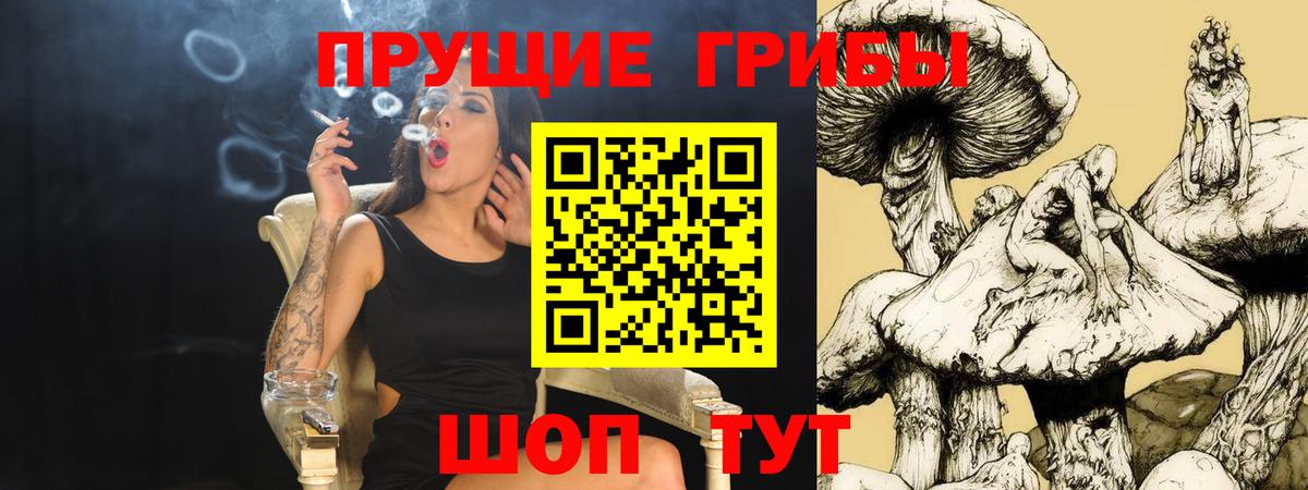 Галлюциногенные грибы прущие грибы Верхняя Пышма
